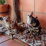 Huerta Del Pasil Nyaraló Córdoba