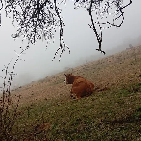 Nyaraló Huerta Del Pasil Córdoba