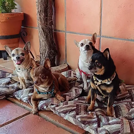 Huerta Del Pasil Сasa de vacaciones Córdoba