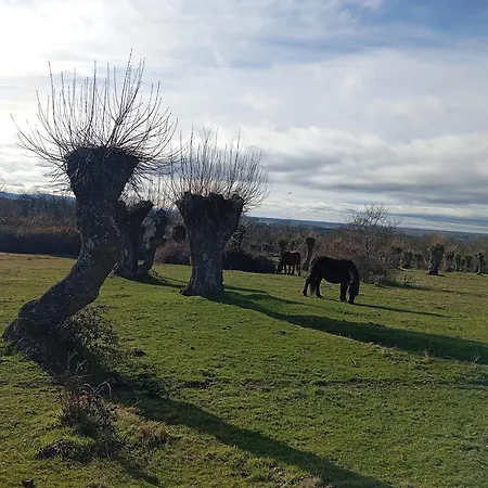 Huerta Del Pasil بيت للعطل قرطبة