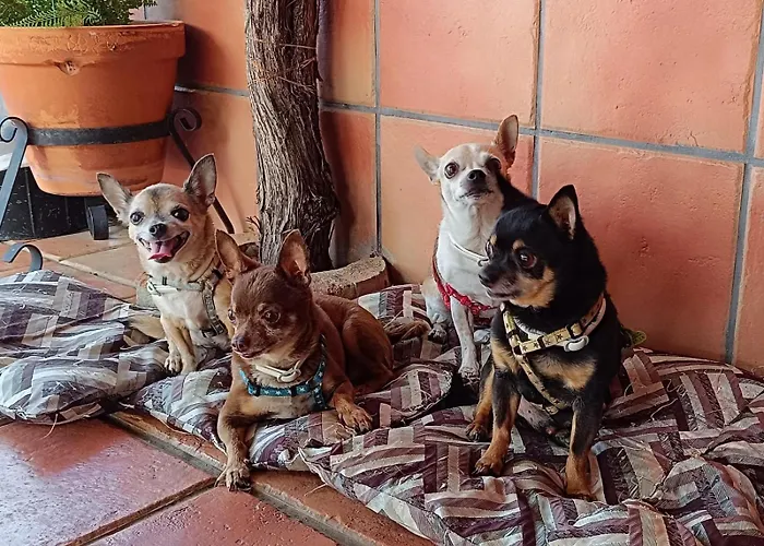 Huerta Del Pasil Nyaraló Córdoba