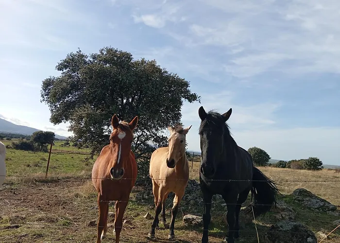 بيت للعطل Huerta Del Pasil