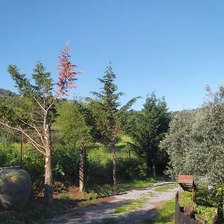Holiday home Huerta Del Pasil *