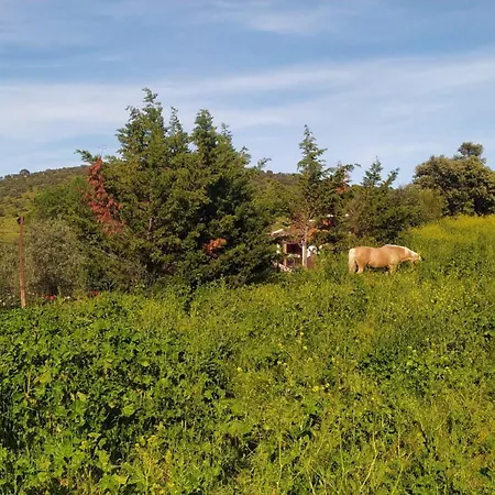 Huerta Del Pasil Cordova