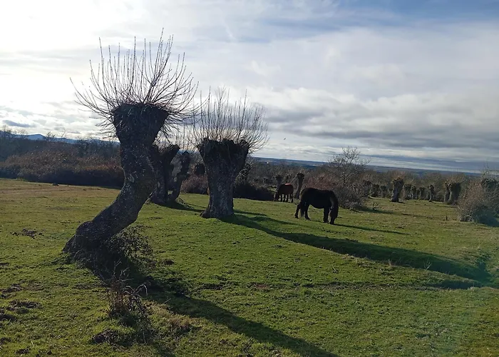 Huerta Del Pasil Feriehus Córdoba