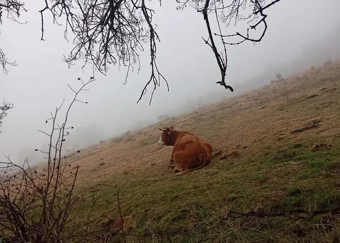 Feriehus Huerta Del Pasil Córdoba